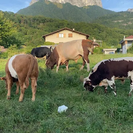 Annecy With Jacuzzi Вилла *