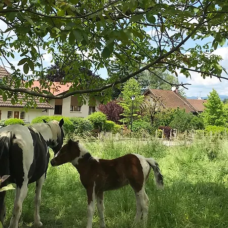 Annecy With Jacuzzi * Menthon-Saint-Bernard