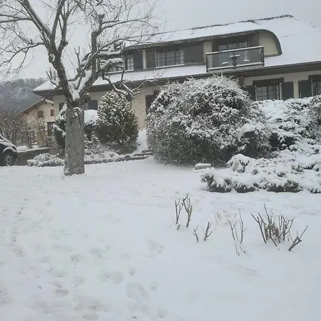 Villa Annecy With Jacuzzi *